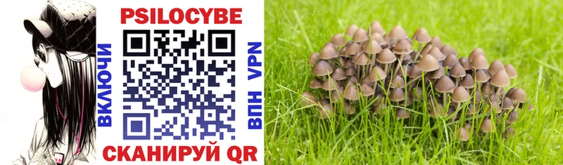 сколько стоит  Горячеводский  Галлюциногенные грибы Psilocybe 